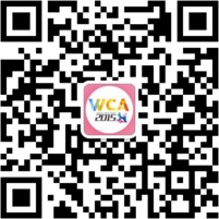 WCA2015中国区总决赛光荣使命 龙焱 雷电会师决赛